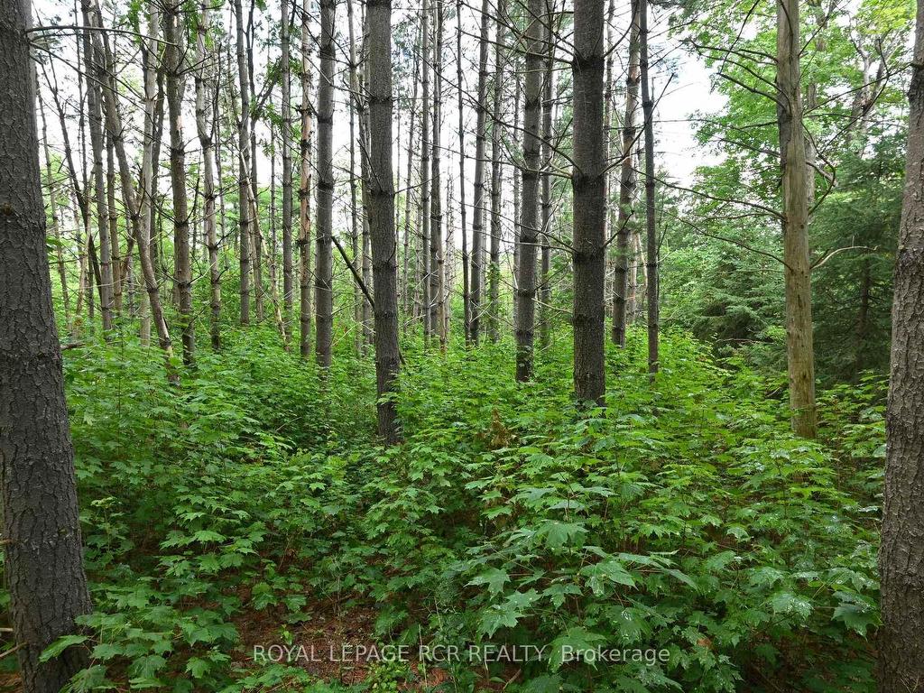 









Lot 441


South River

Road,
Centre Wellington,







ON
N0B 1S0

