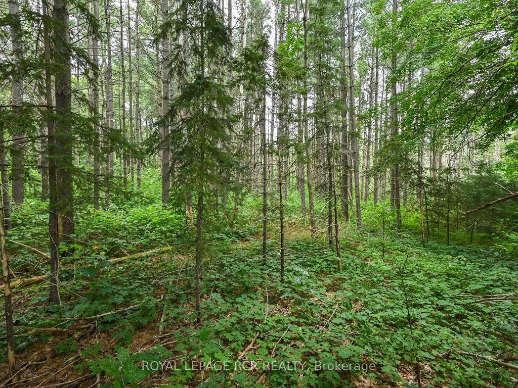 









Lot 441


South River

Road,
Centre Wellington,







ON
N0B 1S0

