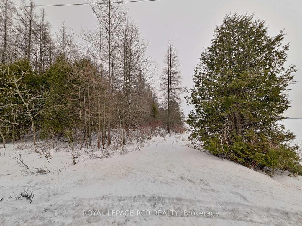 









Lot 31


9 County

Road,
Melancthon,







ON
N0C 1B0

