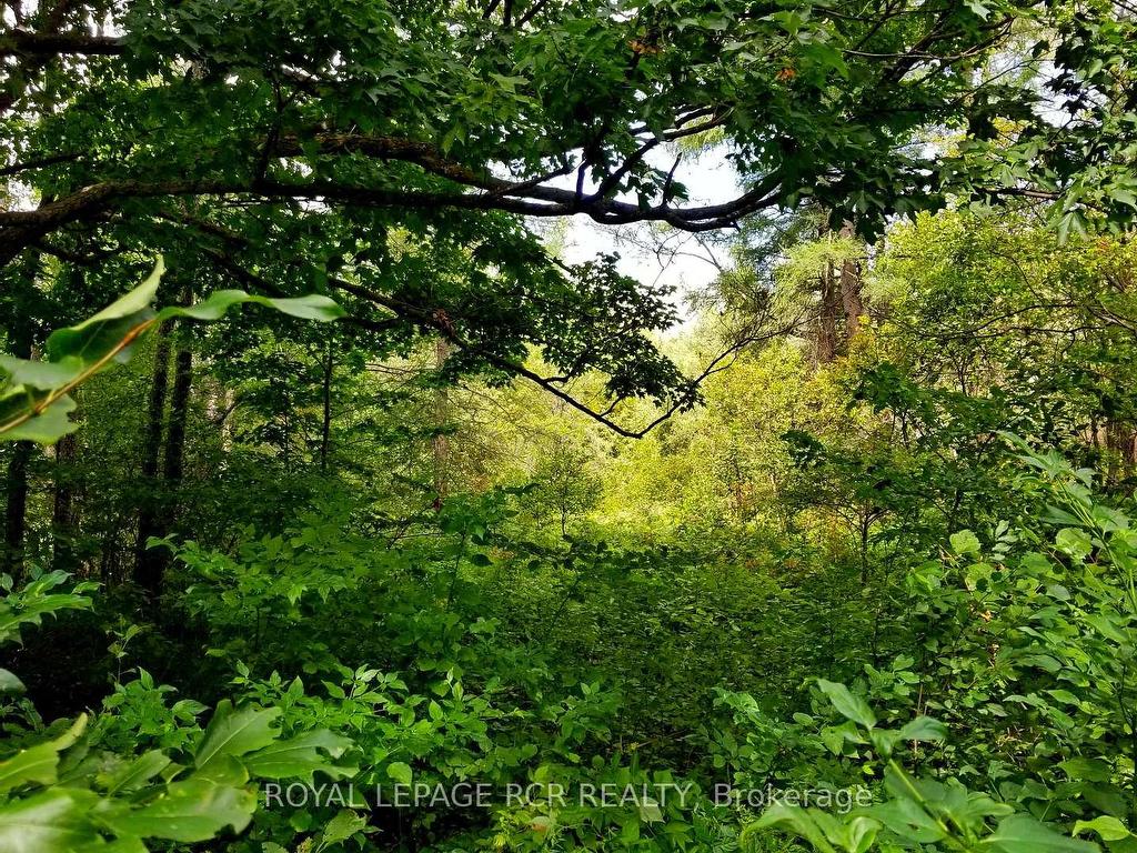 









Lot 31


9 County

Road,
Melancthon,







ON
N0C 1B0

