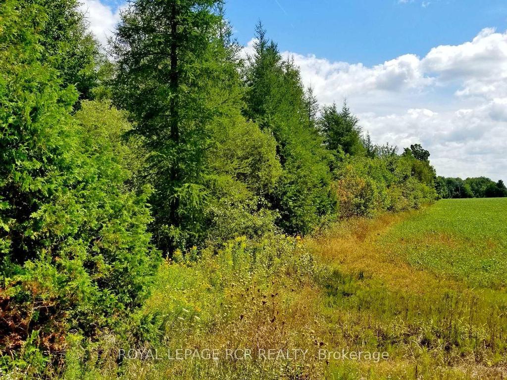 









Lot 31


9 County

Road,
Melancthon,







ON
N0C 1B0

