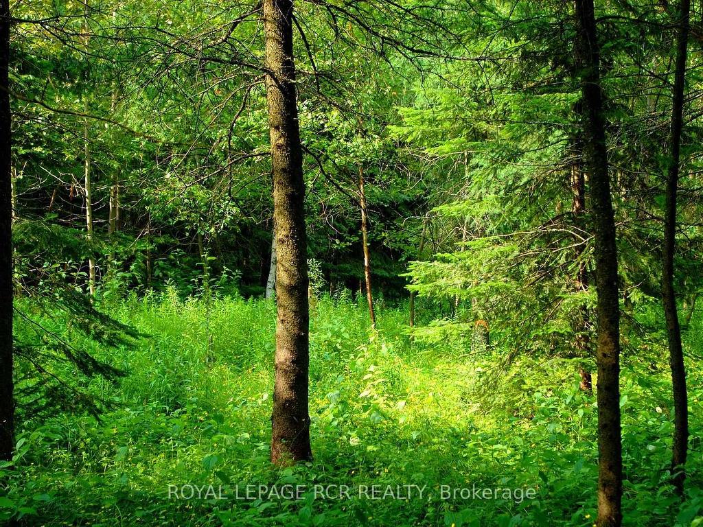 









Lot 31


9 County

Road,
Melancthon,







ON
N0C 1B0

