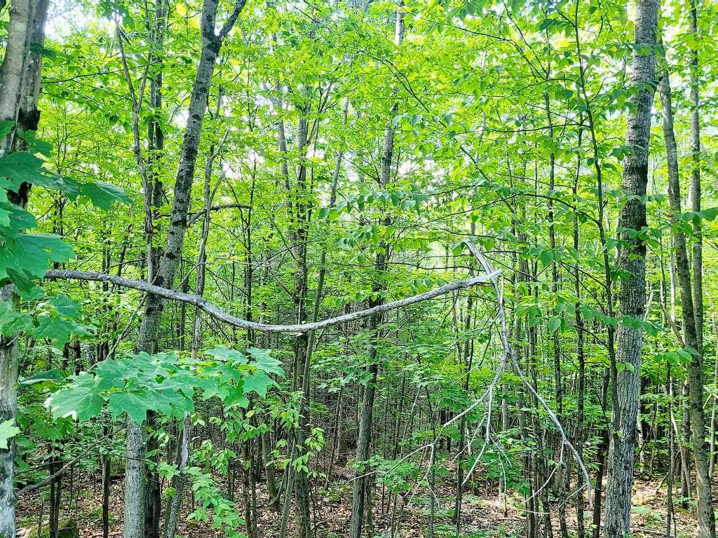 









8


Ch. du Rossignol

,
Val-des-Monts,







QC
J8N6B7

