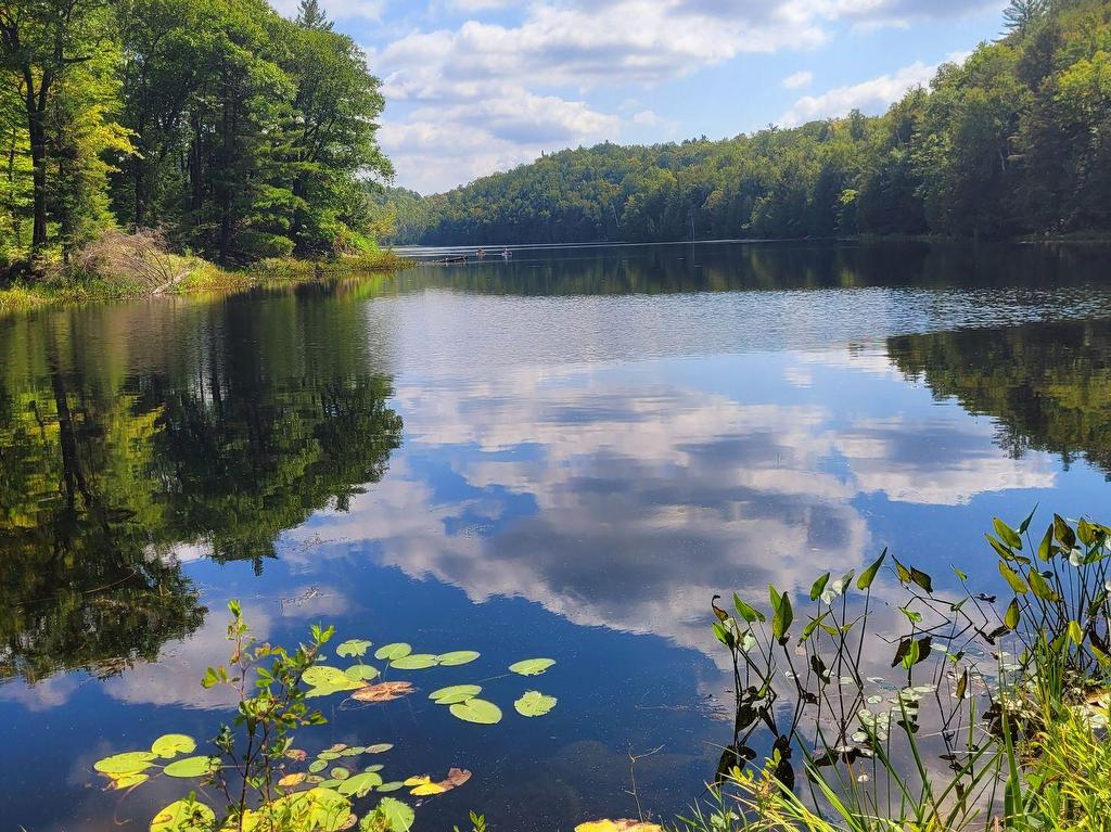 









8


Ch. du Rossignol

,
Val-des-Monts,







QC
J8N6B7

