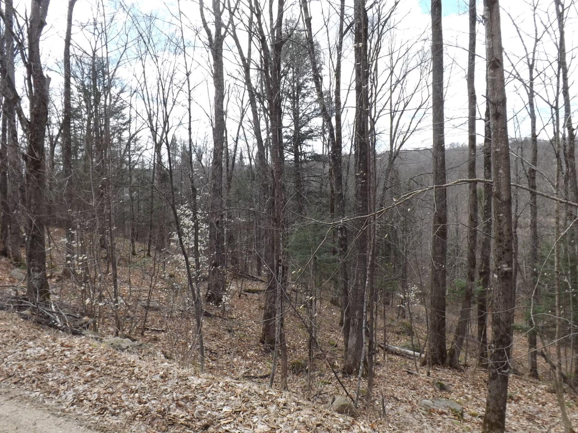 












Ch. Desgroseilliers

,
Boileau,







QC
J0V1N0

