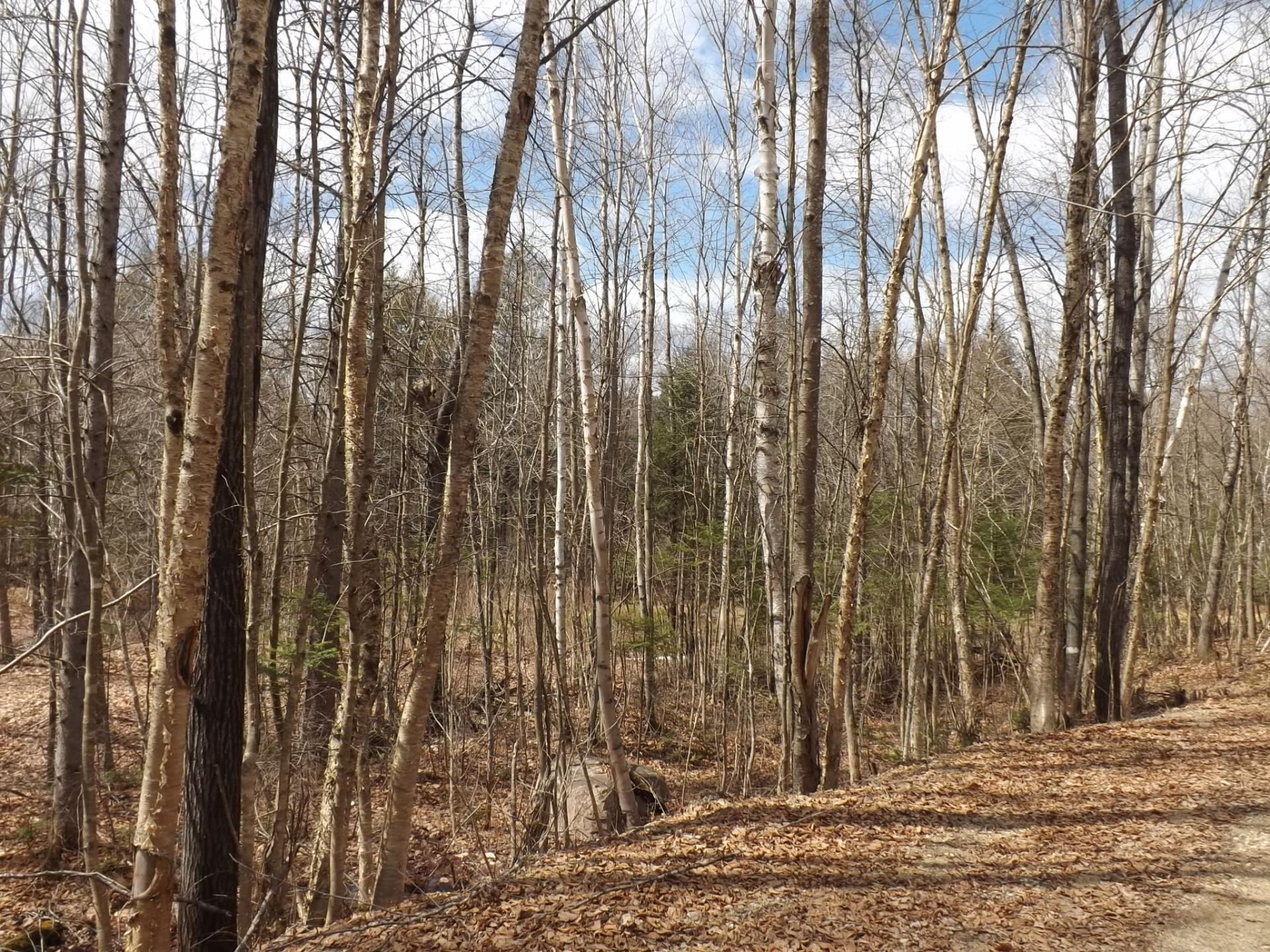 












Ch. Desgroseilliers

,
Boileau,







QC
J0V1N0

