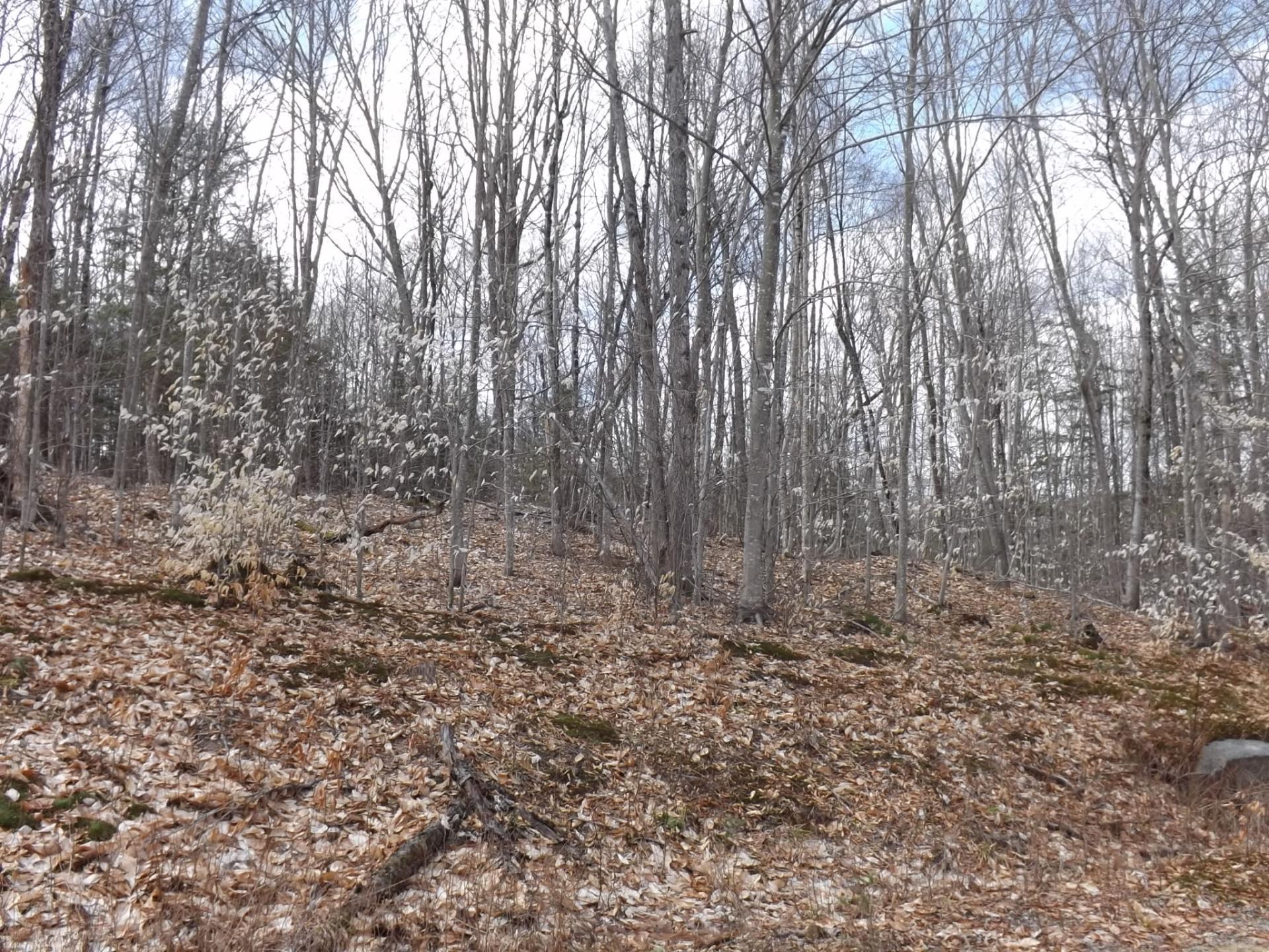 












Ch. Desgroseilliers

,
Boileau,







QC
J0V1N0

