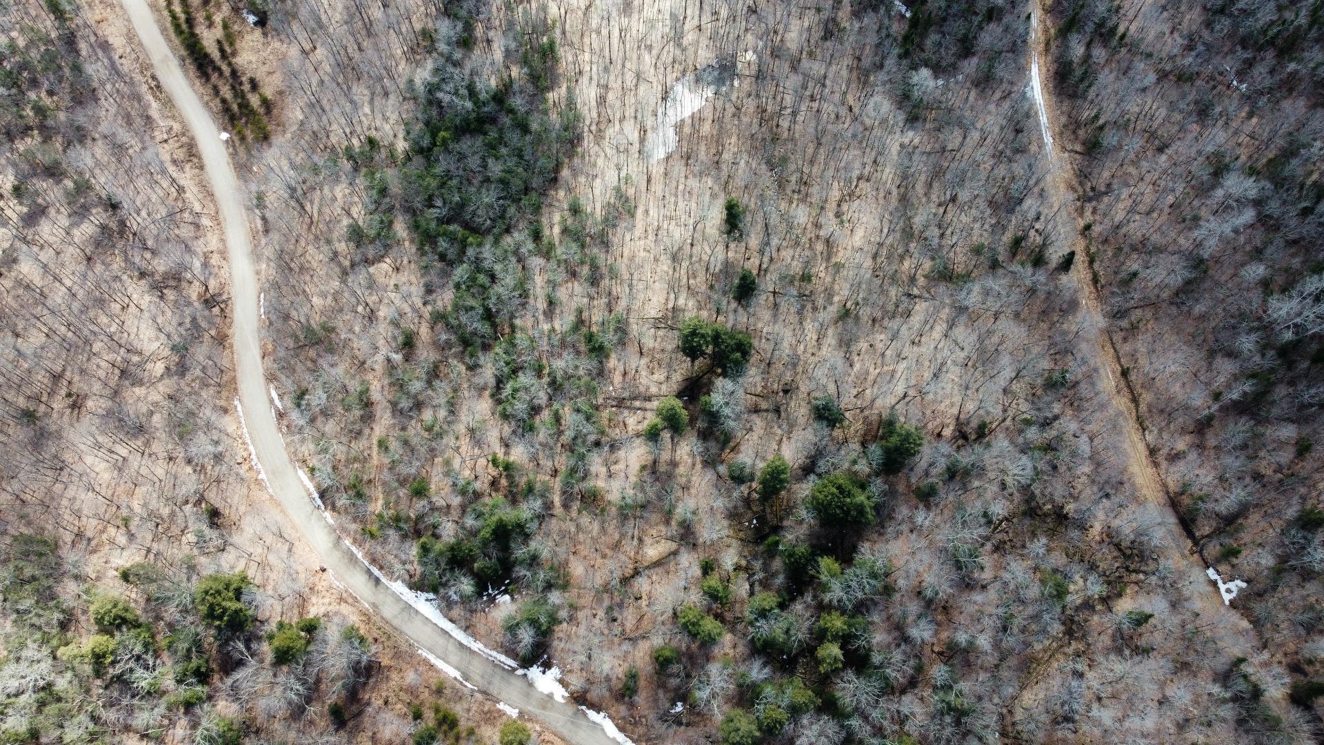 












Ch. Desgroseilliers

,
Boileau,







QC
J0V1N0

