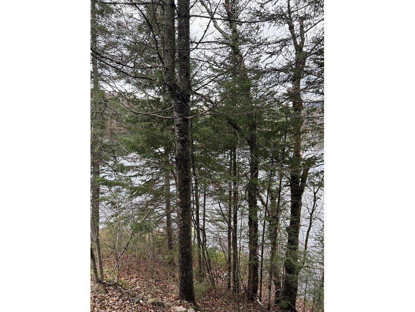 









385


Ch. du Lac-Équerre

,
Lac-Supérieur,




QC
J0T1J0

