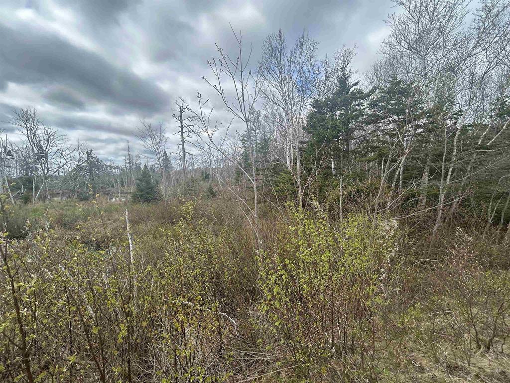 












0 Feltzen South Road

,
Bayport,







NS
B0J 1X0

