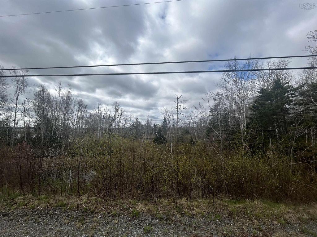 












0 Feltzen South Road

,
Bayport,







NS
B0J 1X0

