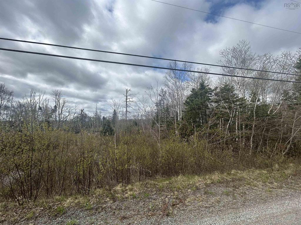 












0 Feltzen South Road

,
Bayport,







NS
B0J 1X0

