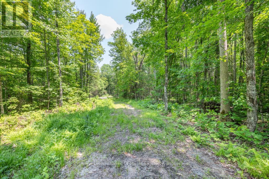 












22 BUCKVALE DRIVE

,
McMurrich/Monteith (McMurrich),







Ontario
P0A1Y0

