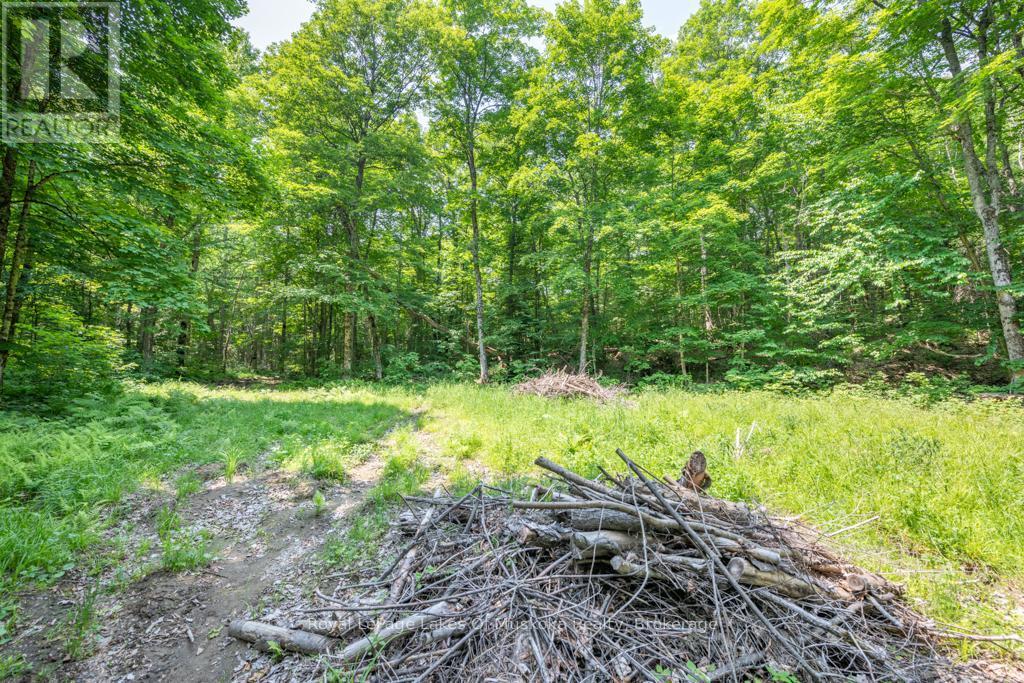 












22 BUCKVALE DRIVE

,
McMurrich/Monteith (McMurrich),







Ontario
P0A1Y0

