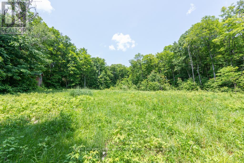 












22 BUCKVALE DRIVE

,
McMurrich/Monteith (McMurrich),







Ontario
P0A1Y0

