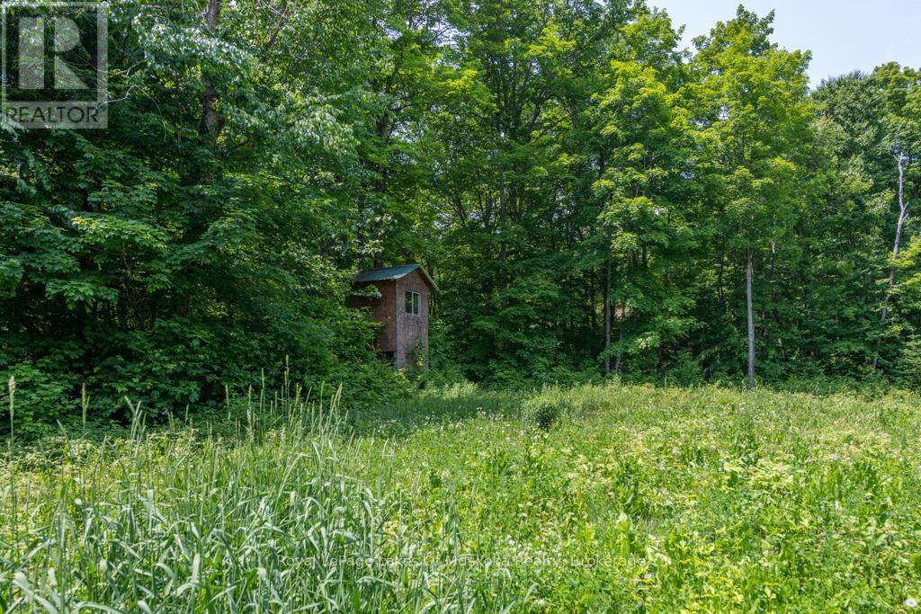 












22 BUCKVALE DRIVE

,
McMurrich/Monteith (McMurrich),







Ontario
P0A1Y0

