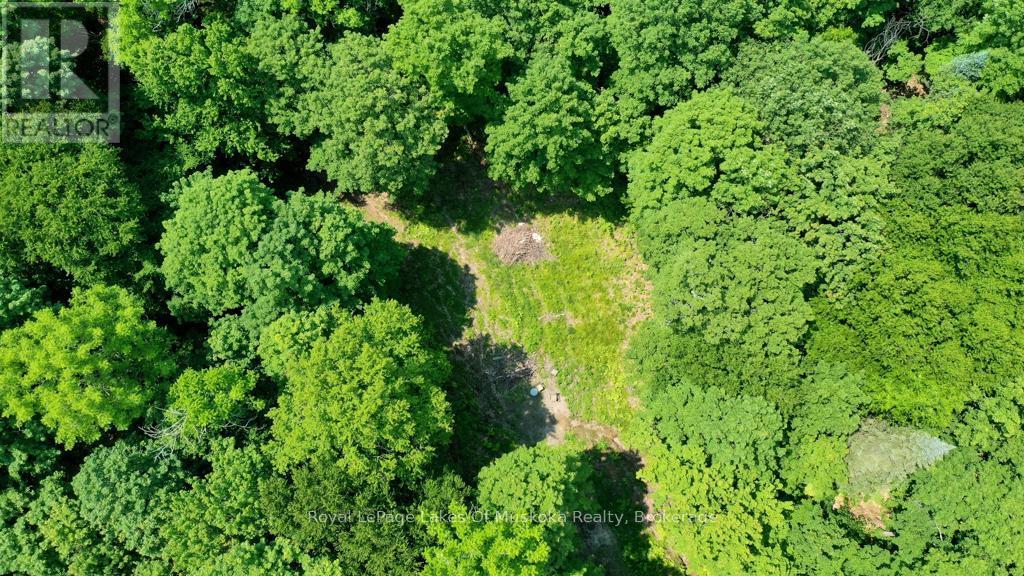 












22 BUCKVALE DRIVE

,
McMurrich/Monteith (McMurrich),







Ontario
P0A1Y0

