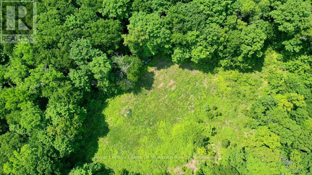 












22 BUCKVALE DRIVE

,
McMurrich/Monteith (McMurrich),







Ontario
P0A1Y0

