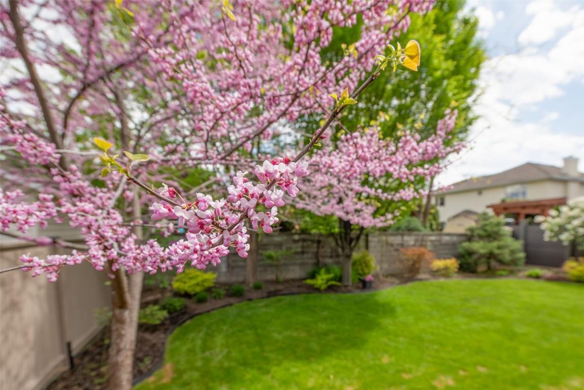 









3721


Mission Springs

Drive,
Kelowna,




BC
V1W 3L8

