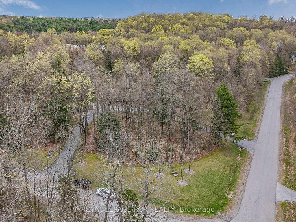 









1


Beech Tree

Lane,
Whitchurch-Stouffville,




ON
L4A 7X4

