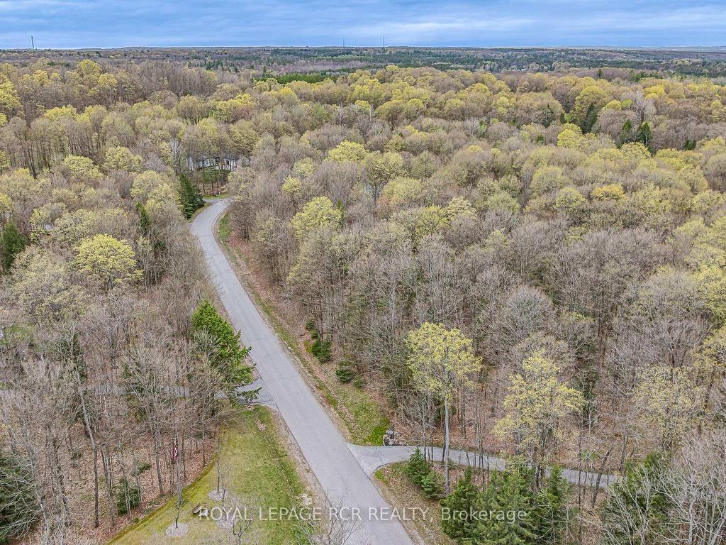 









1


Beech Tree

Lane,
Whitchurch-Stouffville,




ON
L4A 7X4

