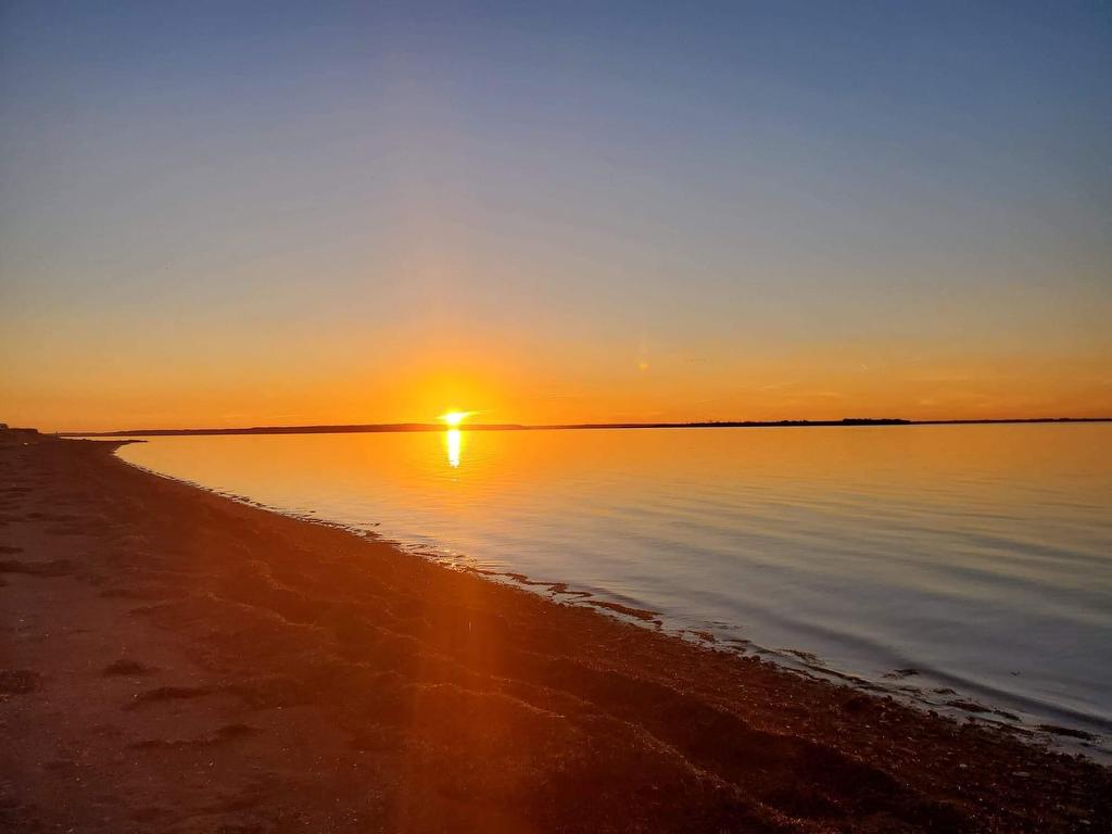 












Lot 16 Osprey Lane

,
Malpeque,







PE
C0B 1M0

