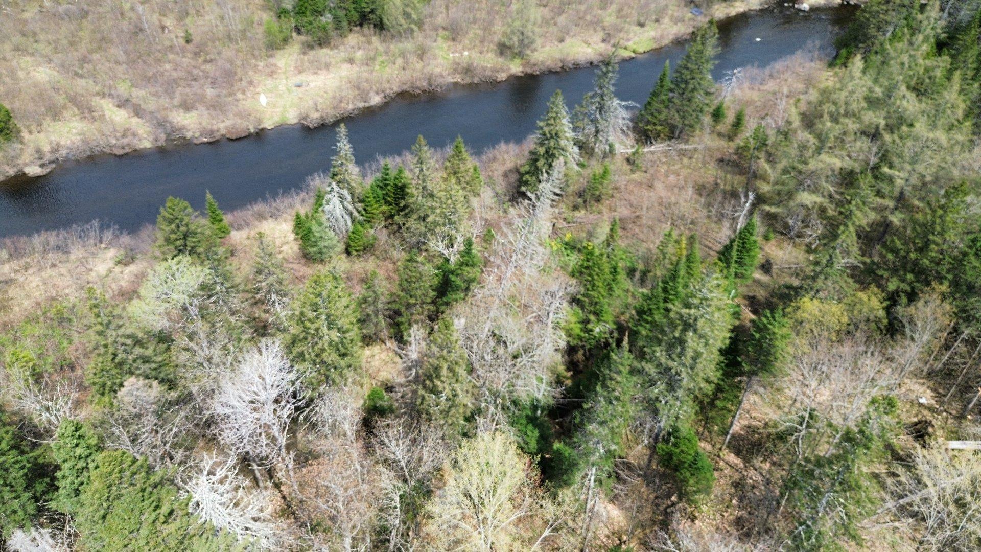









566


Ch. Forest

,
Saint-Sauveur,




QC
J0R1R7

