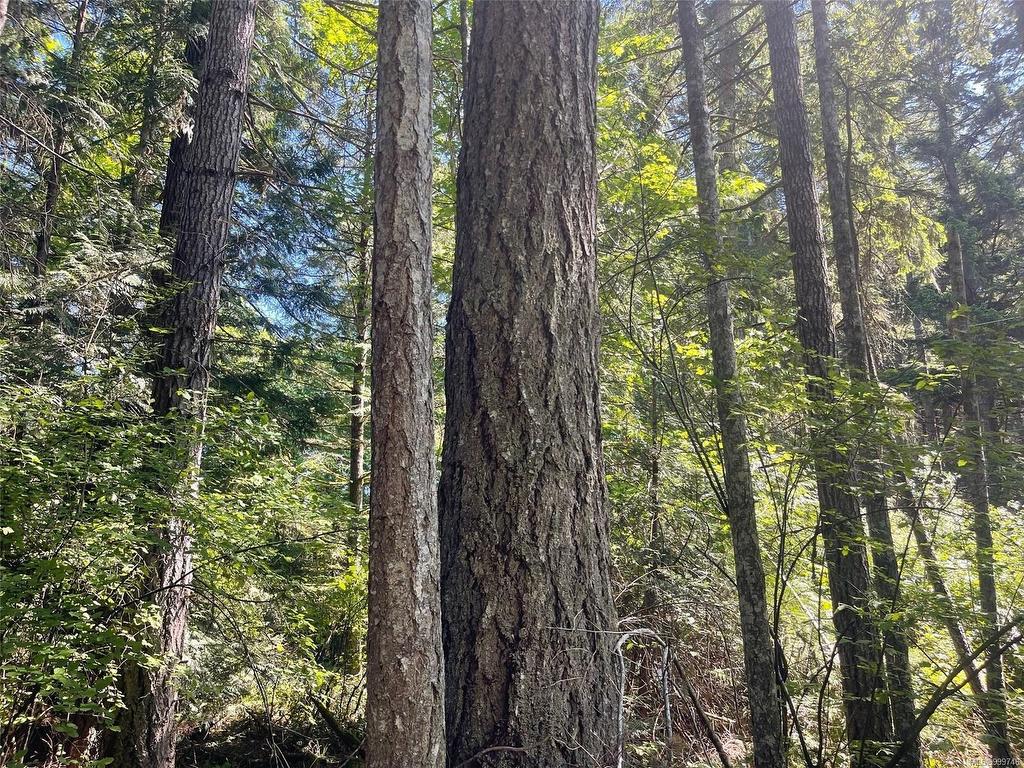 









LOT 2


Spruce

Ave,
Gabriola Island,







BC
V0R 1X1


