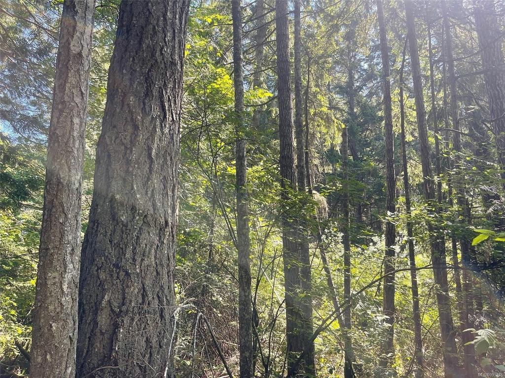 









LOT 2


Spruce

Ave,
Gabriola Island,







BC
V0R 1X1

