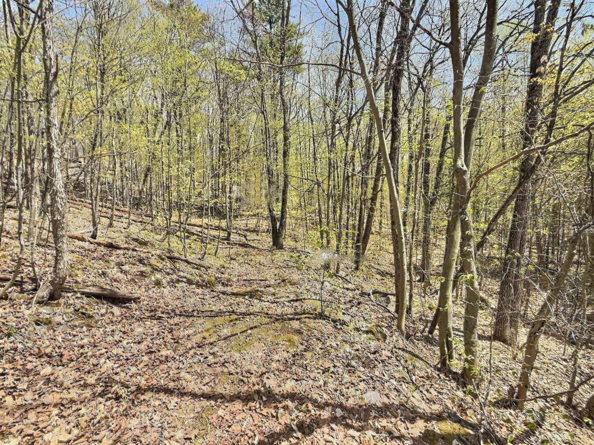 









35


Ch. Frontenac

,
Val-des-Monts,







QC
J8N4A5

