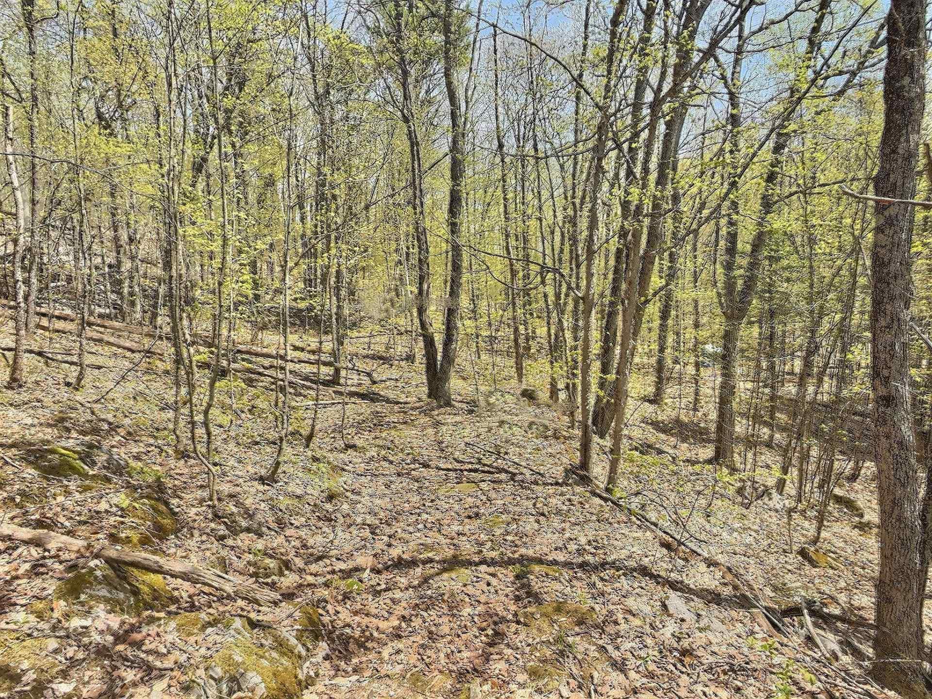 









35


Ch. Frontenac

,
Val-des-Monts,







QC
J8N4A5

