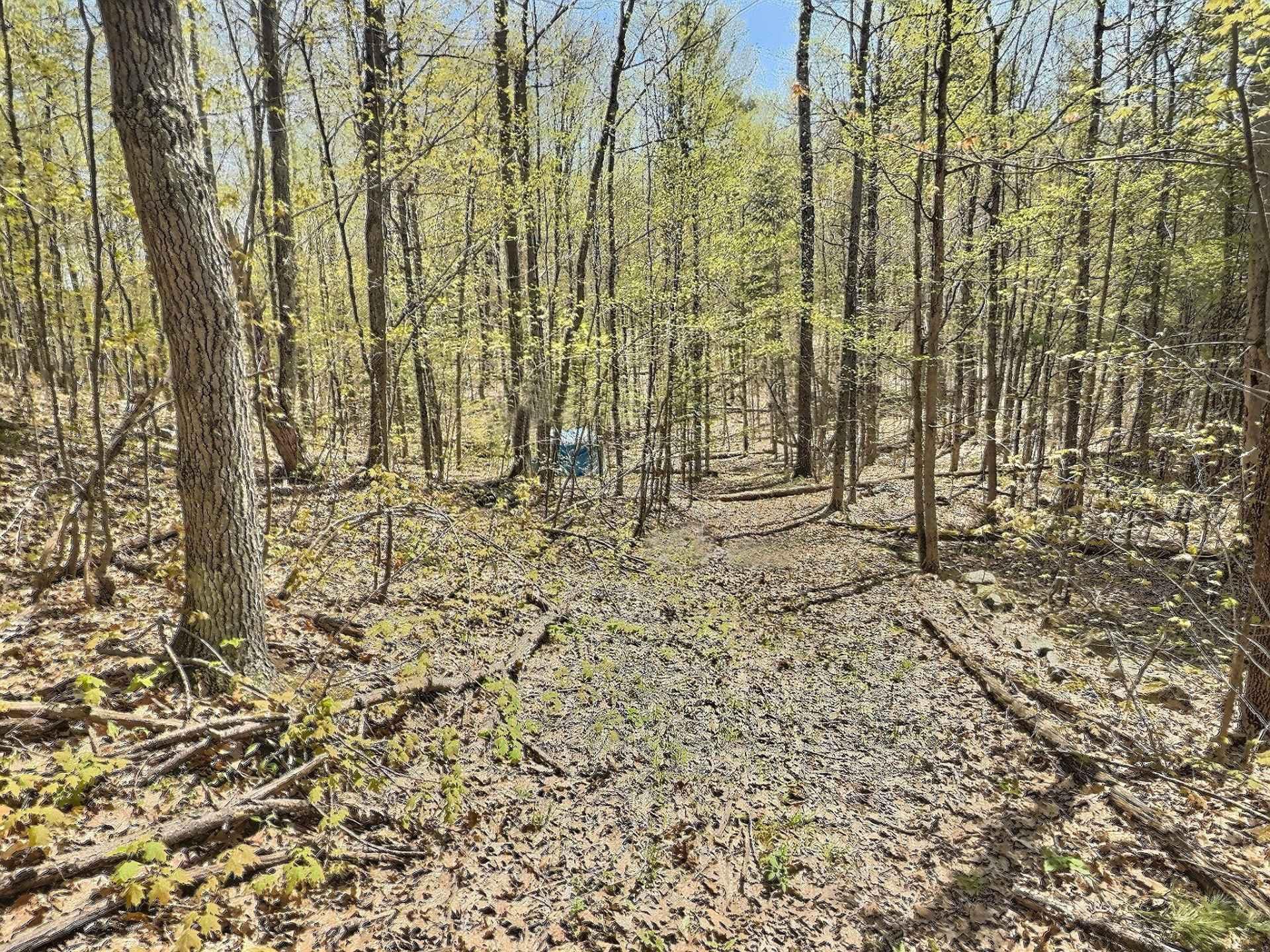 









35


Ch. Frontenac

,
Val-des-Monts,







QC
J8N4A5

