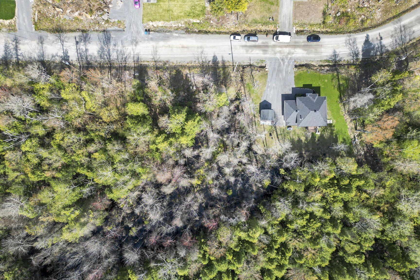 









228


Rue du Quartier

,
Sainte-Sophie,




QC
J5J0P6

