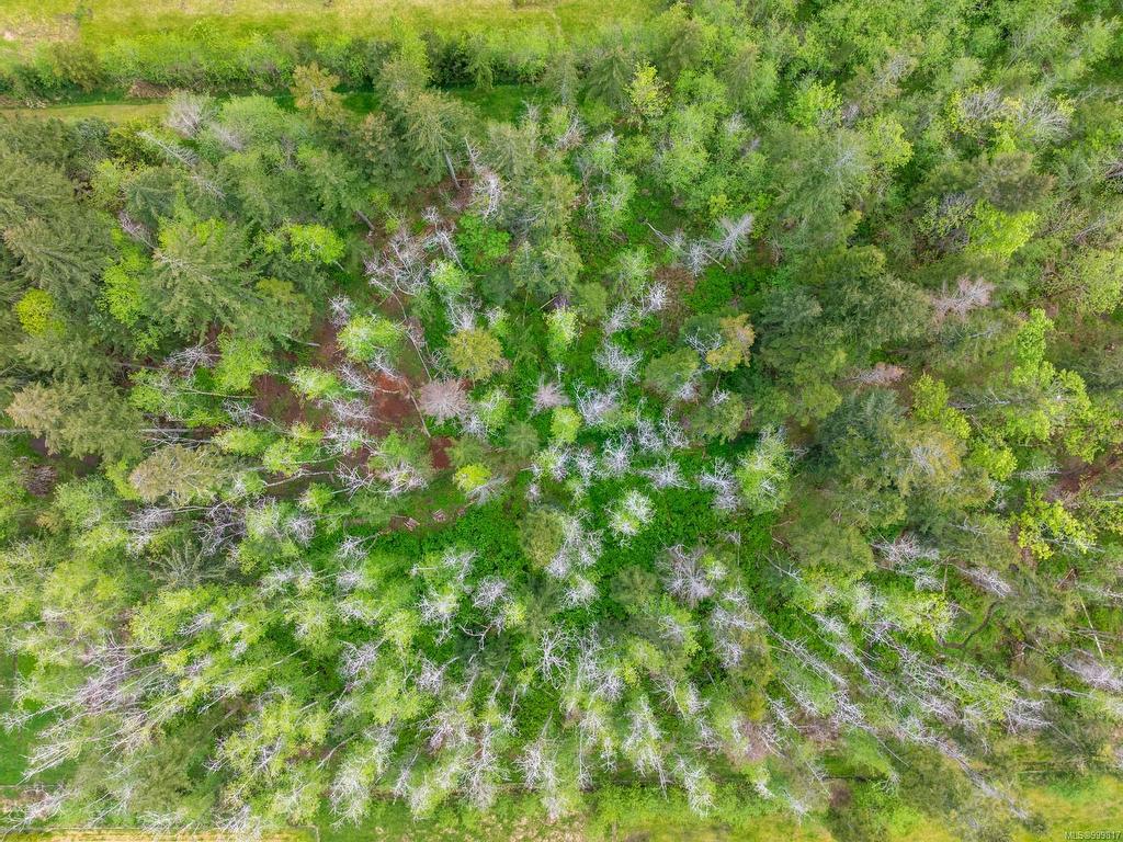 









6499


Fitzgerald

Rd,
Merville,




BC
V9J 1M7

