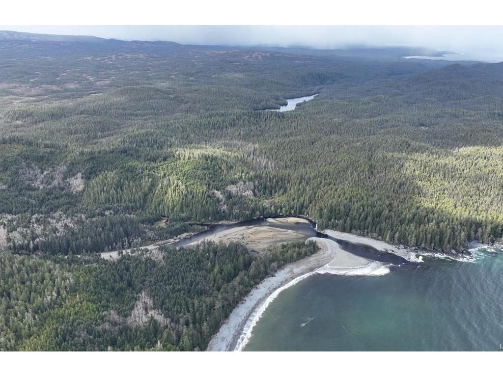 









5 Cape Sutil


Holberg

(Off) Hwy,
Port Hardy,







BC
V0N 2P0


