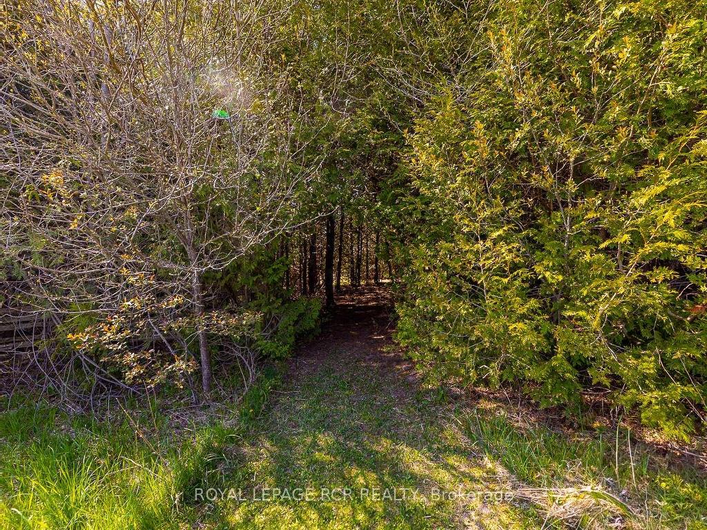 









282398


County Rd 10

N/A,
East Luther Grand Valley,




ON
L9W 0W6

