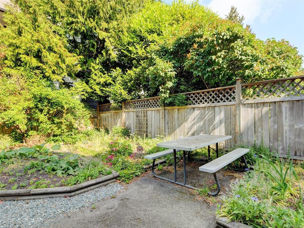 









516


Su'it

St,
Victoria,




BC
V8V 4C4

