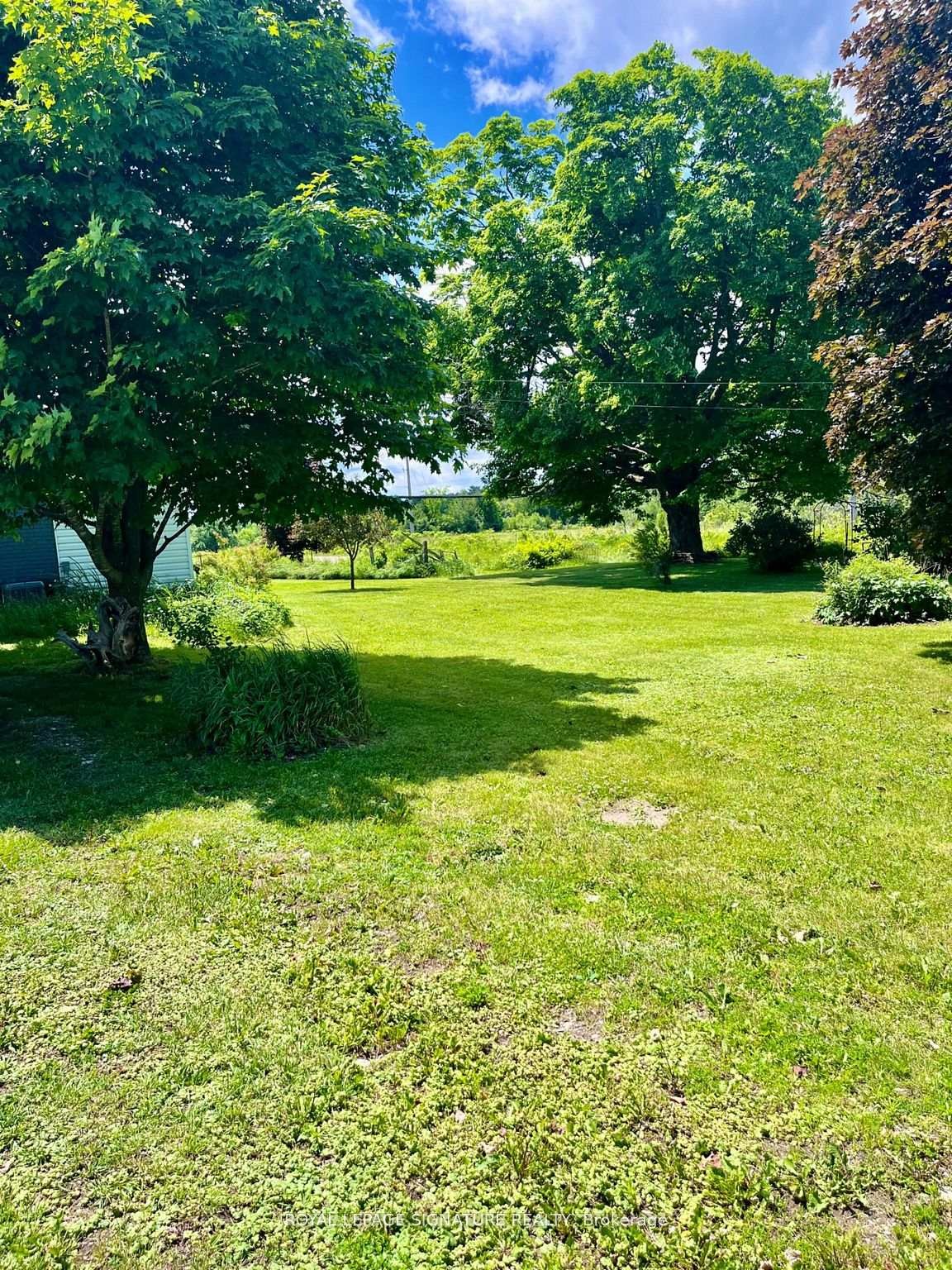 









31


Blue Bay

Lane,
Kawartha Lakes,




ON
K0M 1N0

