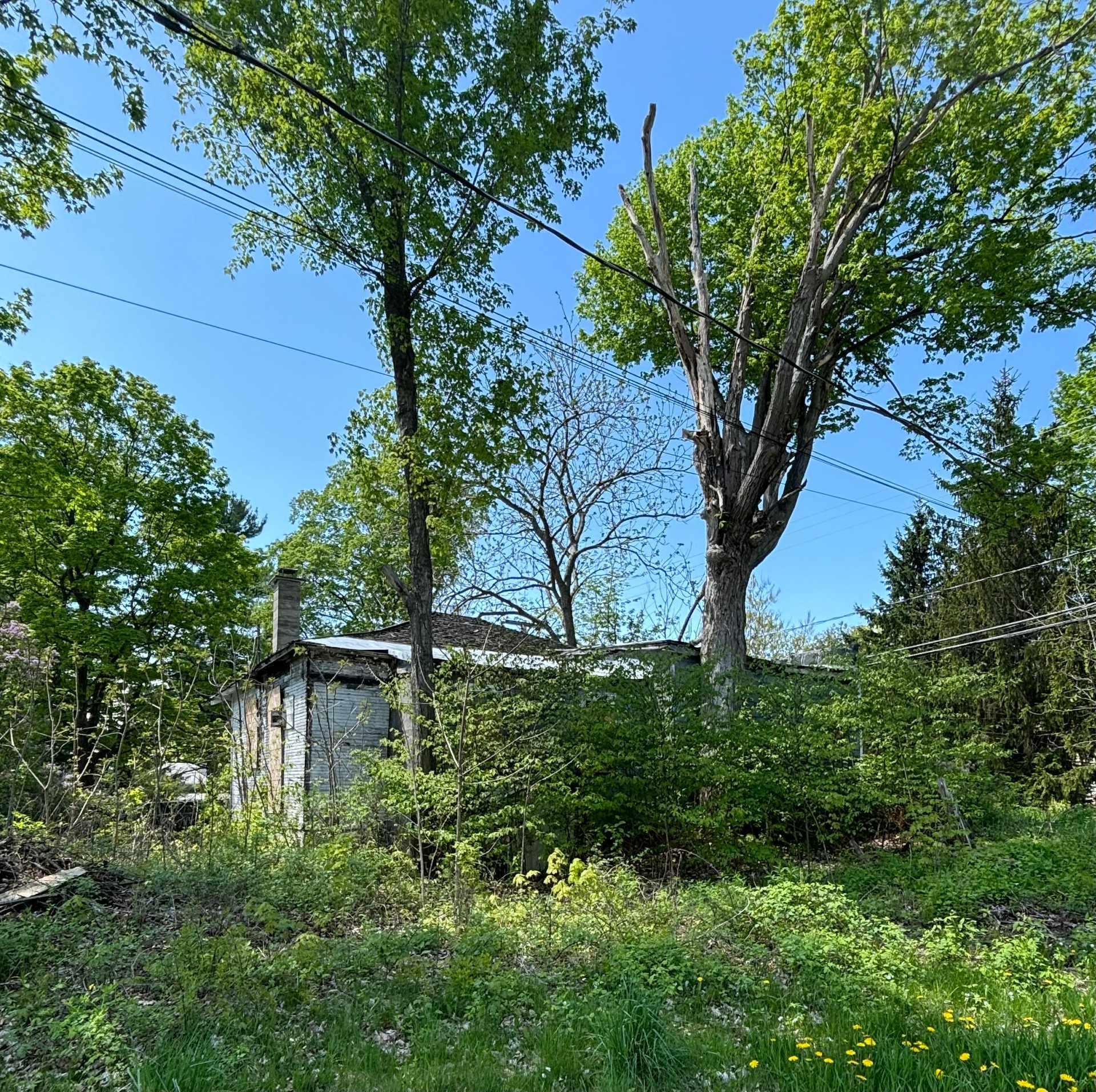 









242


Rue Allan

,
Saint-Armand,




QC
J0J1N0

