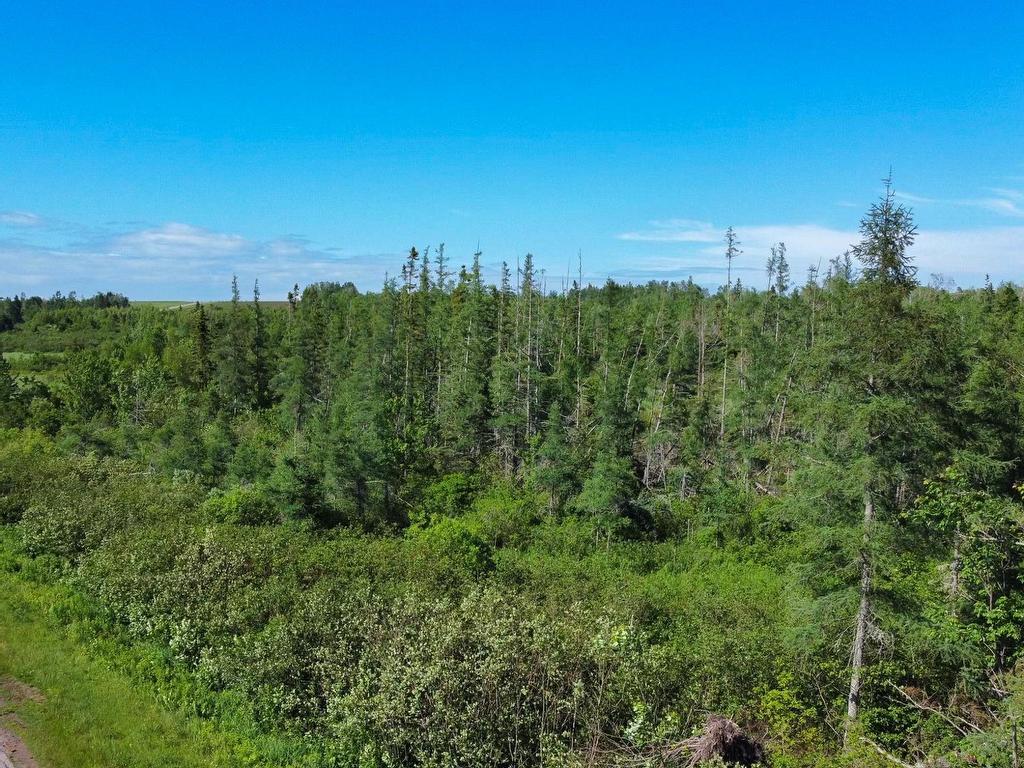 












Acreage Strathcona Road

,
Forest Hill,







PE
C0A 1G0

