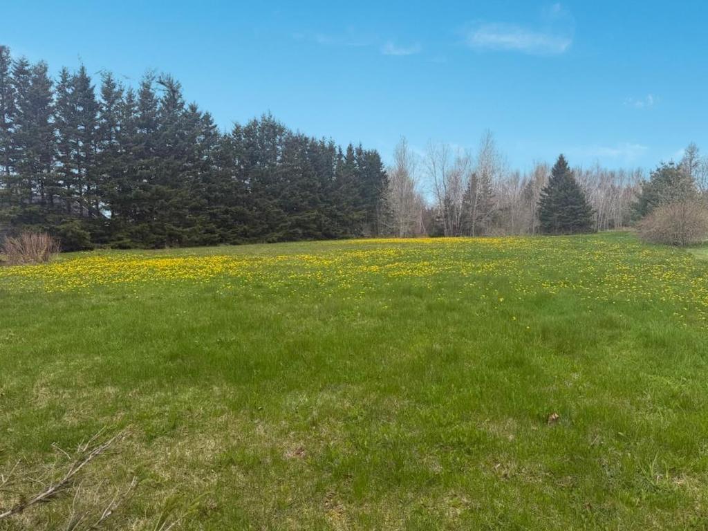 












Lot I 224 Sundance Lane

,
Stratford,







PE
C1B 1L9

