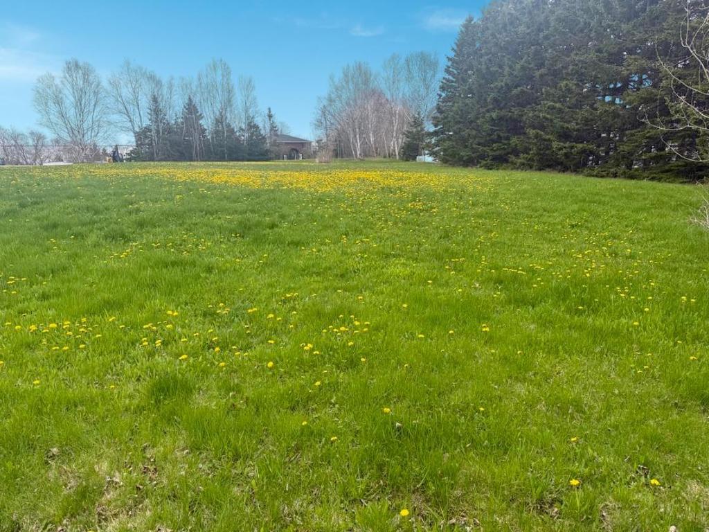 












Lot I 224 Sundance Lane

,
Stratford,







PE
C1B 1L9

