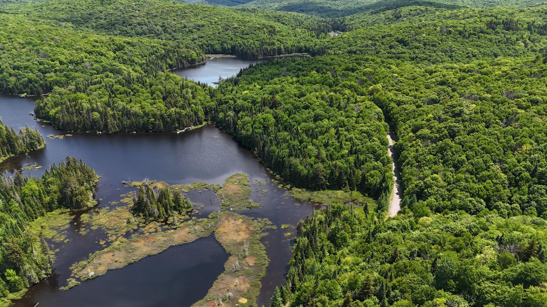 












Ch. du Lac-Pearl

,
Sainte-Agathe-des-Monts,







QC
J8C2Z7

