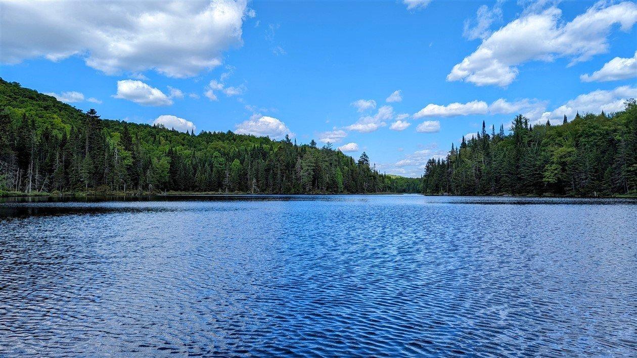 












Ch. du Lac-Pearl

,
Sainte-Agathe-des-Monts,







QC
J8C2Z7

