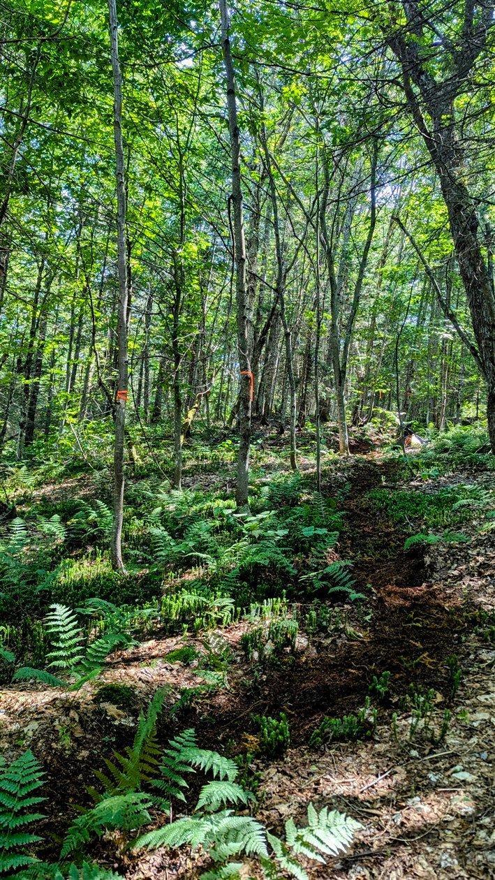 












Ch. du Lac-Pearl

,
Sainte-Agathe-des-Monts,







QC
J8C2Z7

