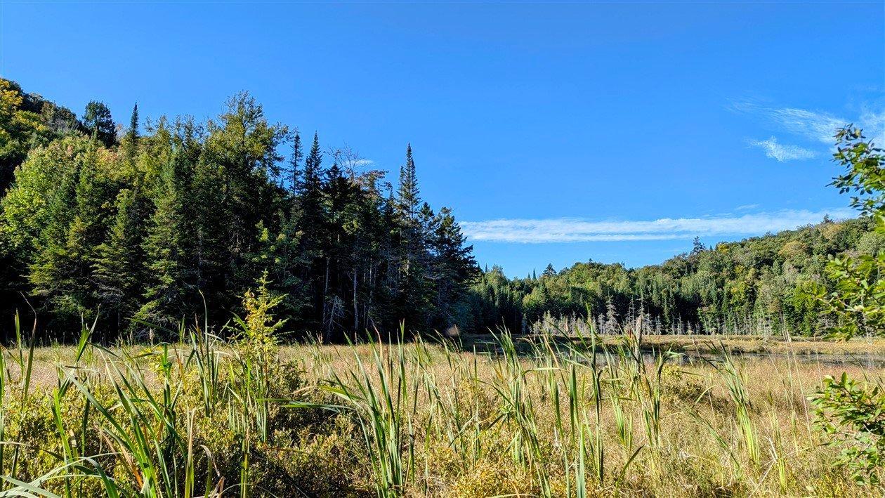 












Ch. du Lac-Pearl

,
Sainte-Agathe-des-Monts,







QC
J8C2Z7

