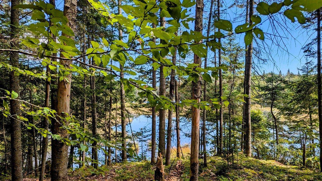 












Ch. du Lac-Pearl

,
Sainte-Agathe-des-Monts,







QC
J8C2Z7

