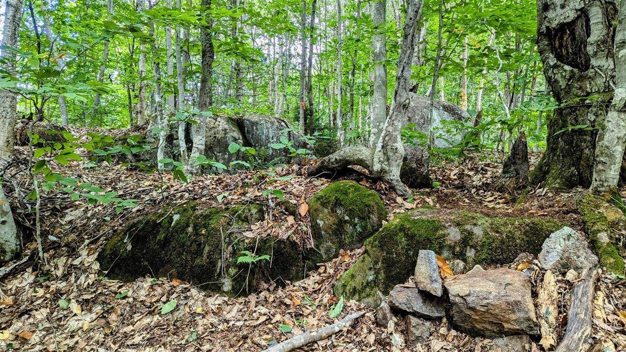 












Ch. du Lac-Pearl

,
Sainte-Agathe-des-Monts,







QC
J8C2Z7

