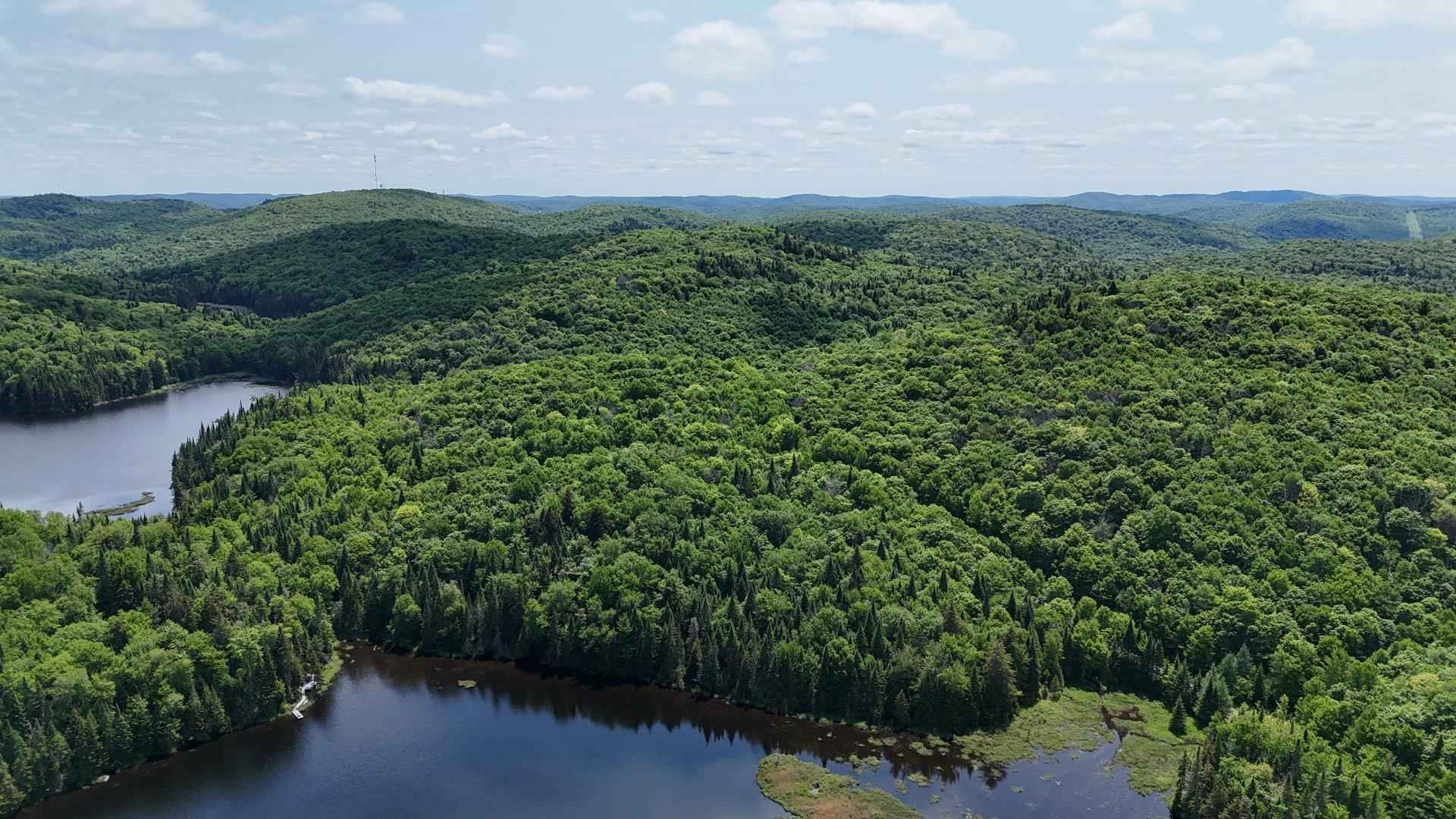 












Ch. du Lac-Pearl

,
Sainte-Agathe-des-Monts,







QC
J8C2Z7

