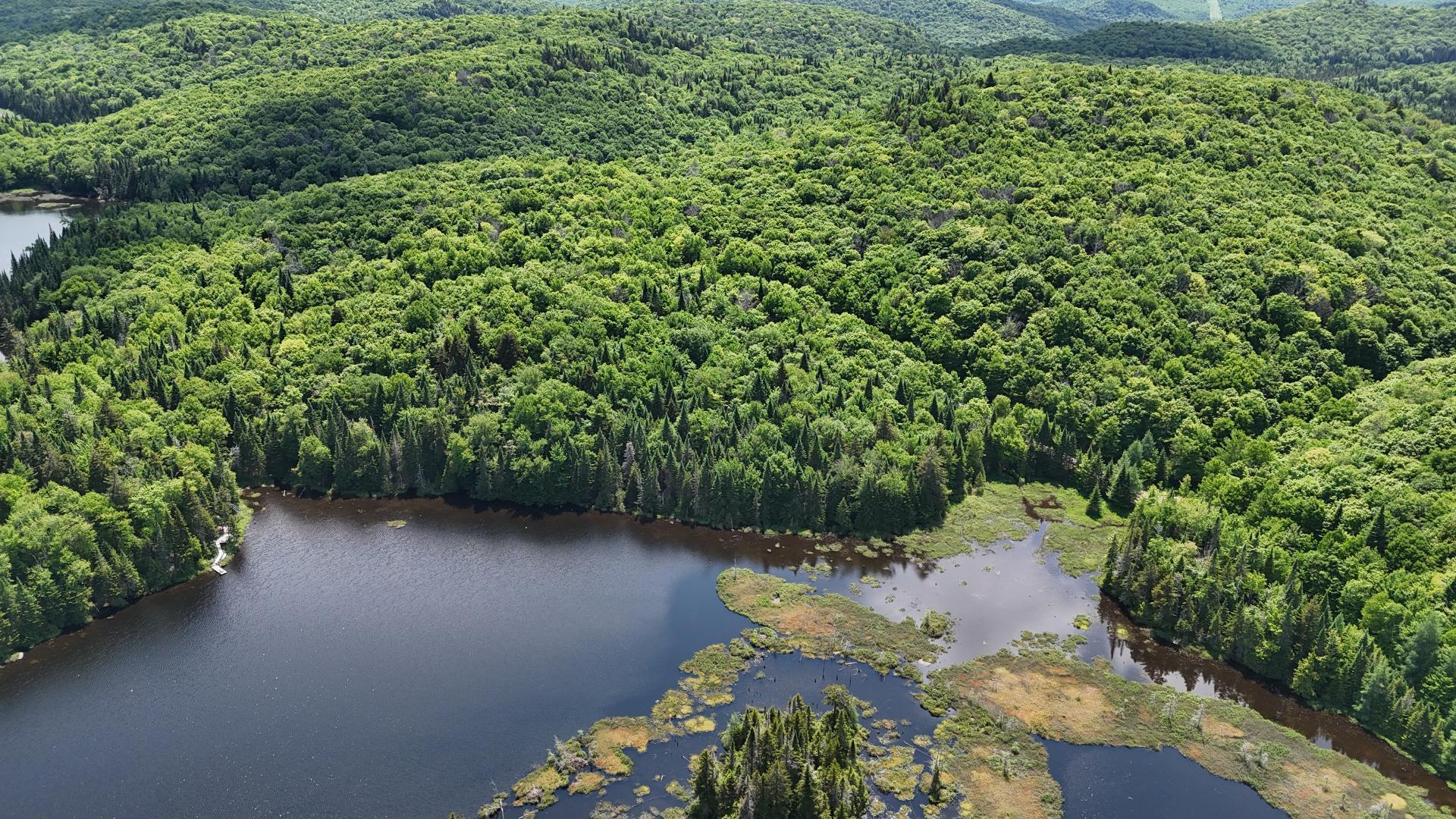 












Ch. du Lac-Pearl

,
Sainte-Agathe-des-Monts,







QC
J8C2Z7

